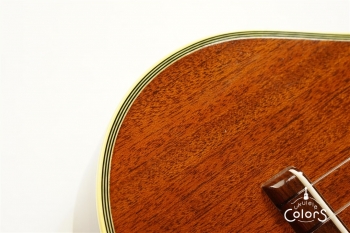 HM-C20 Concert -TR10th Anniversary Model- #361